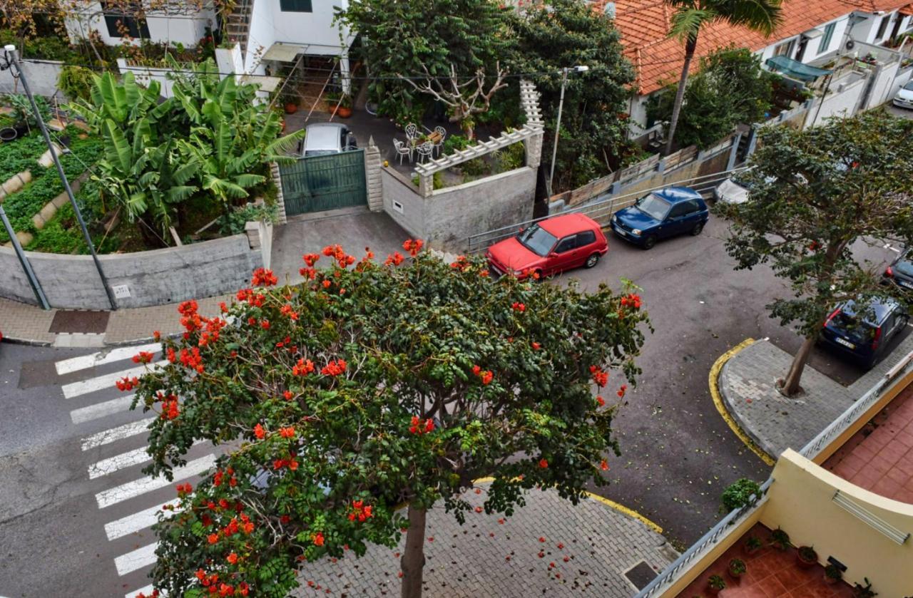 Perola, A Home In Madeira Funchal  Bagian luar foto